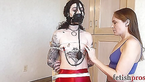 Hot cattle and sexye